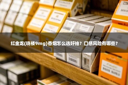 红金龙(晓楼9mg)香烟怎么选好抽？口感风险有哪些？